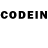 Псилоцибиновые грибы GOLDEN TEACHER howcoolIam