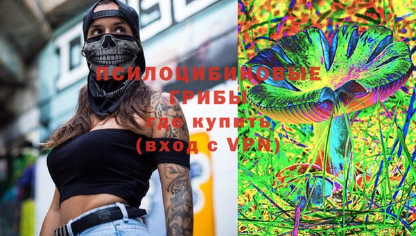 спиды Бородино