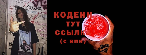 спиды Бородино