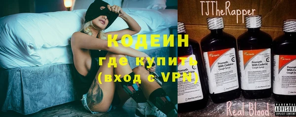 спиды Бородино