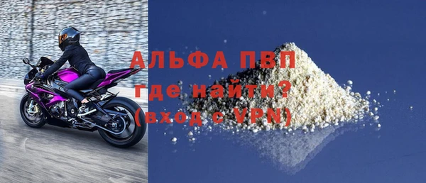 спиды Бородино