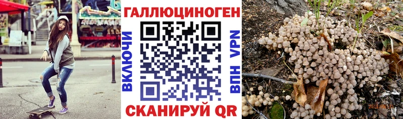 Псилоцибиновые грибы Magic Shrooms  Купить где  Новоалександровск 